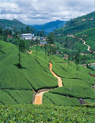 Classic Sri Lanka